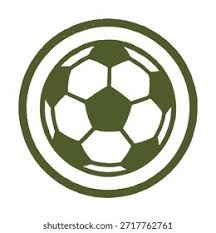 解锁体验卡，英乙比赛中裁判受伤，一球迷走下看台参与执法