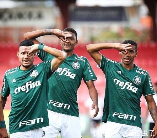 他们的体系 他们的体系